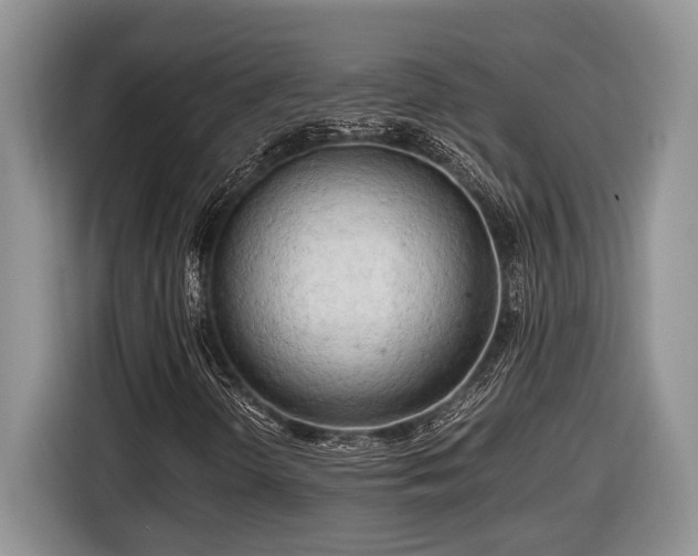 X0000116661298200912211459