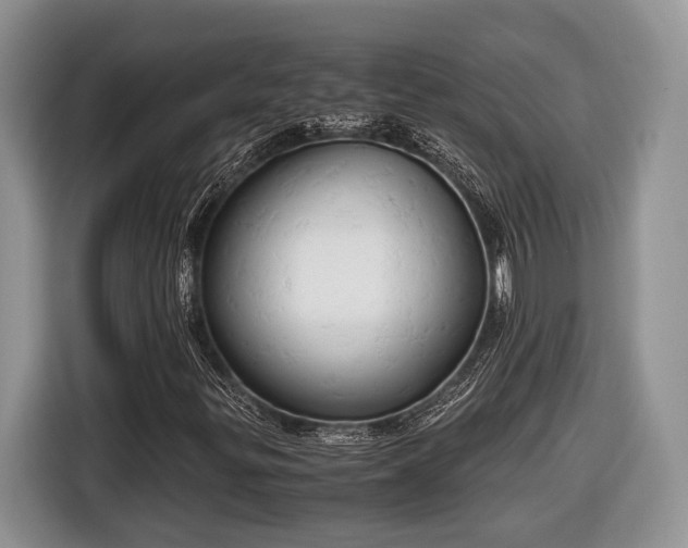 X0000116661299200912211459