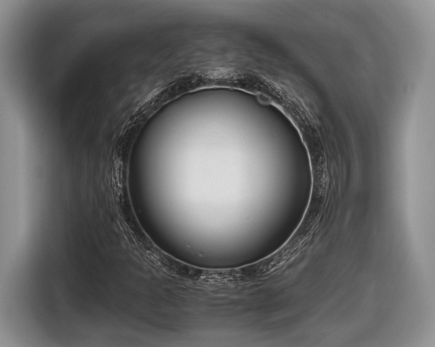 X0000116661301200912211459