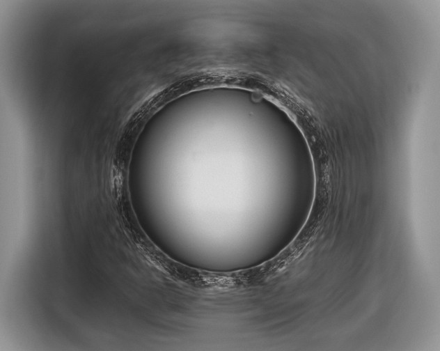 X0000116661302200912211459