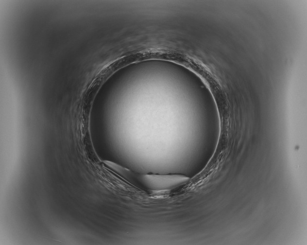 X0000116661303200912211459