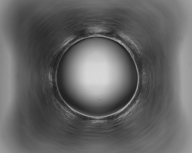 X0000116661305200912211459