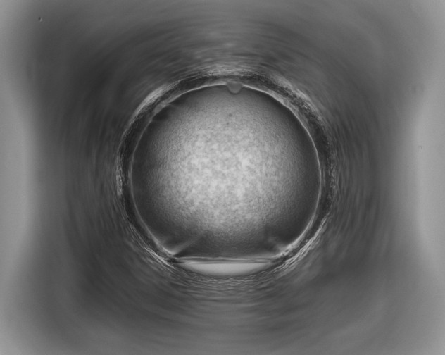 X0000116661306200912211459