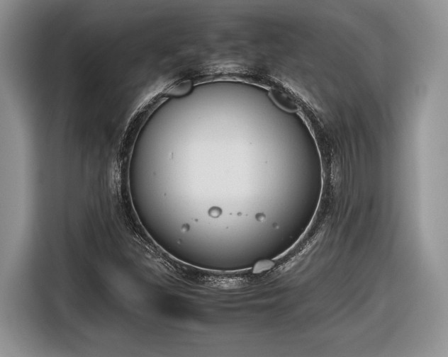 X0000116661309200912211459