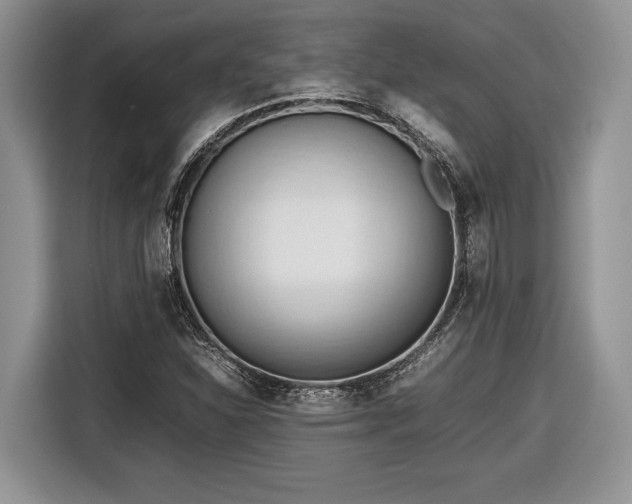 X0000116661310200912211459