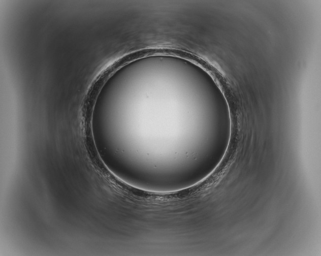 X0000116661311200912211459