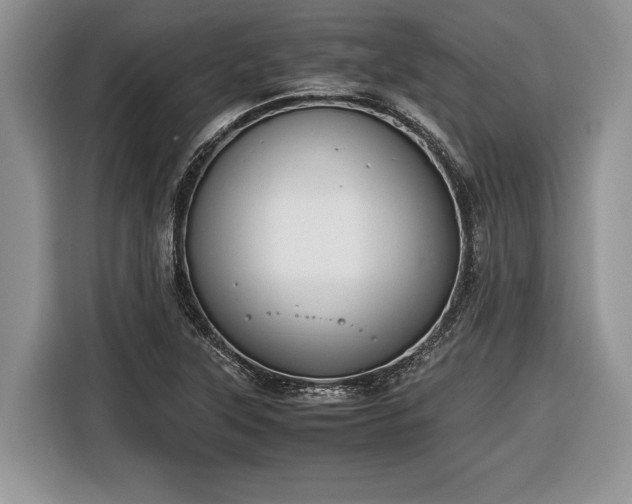 X0000116661315200912211459