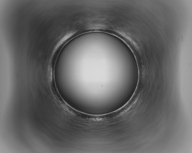 X0000116661317200912211459