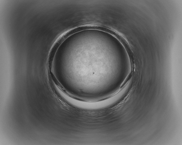 X0000116661319200912211459