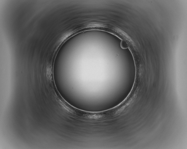 X0000116661321200912211459