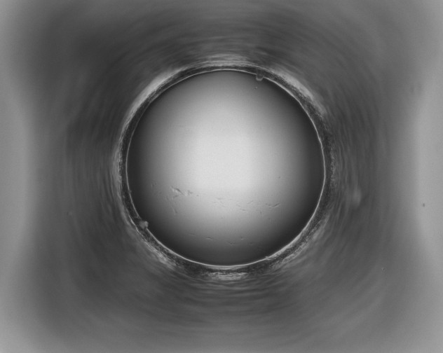 X0000116661325200912211459