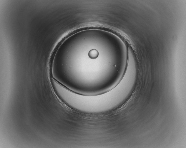 X0000116661326200912211459