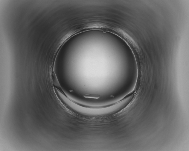 X0000116661329200912211459