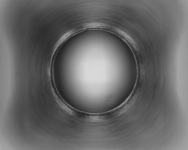 X0000116661330200912211459