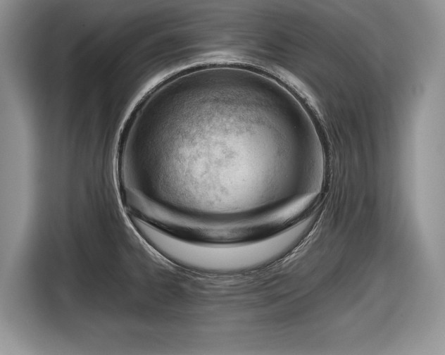 X0000116661334200912211500