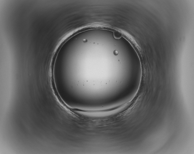 X0000116661335200912211500