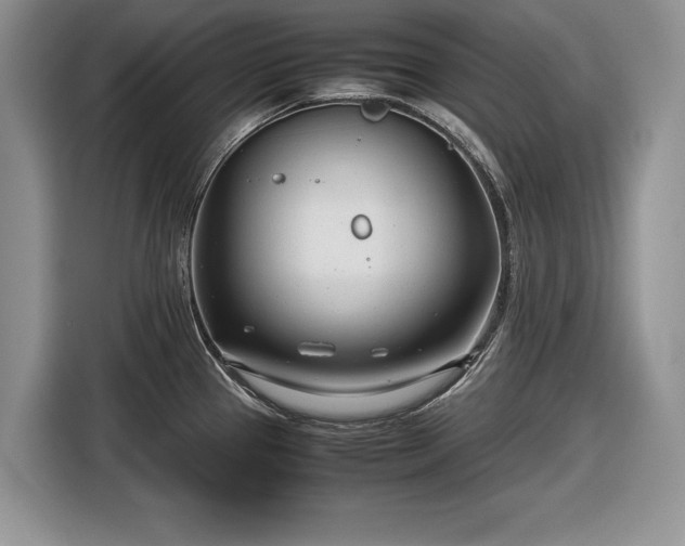 X0000116661337200912211500