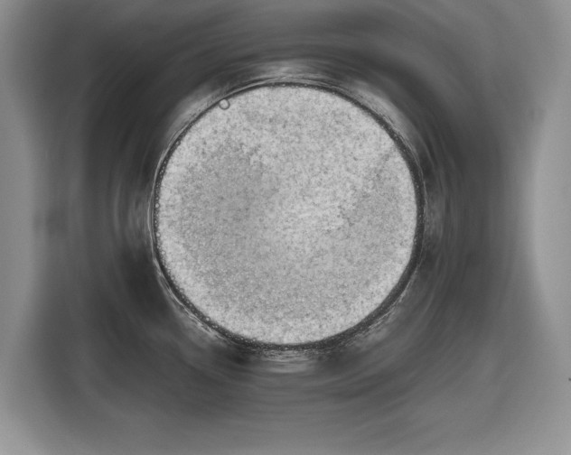 X0000116661338200912211500