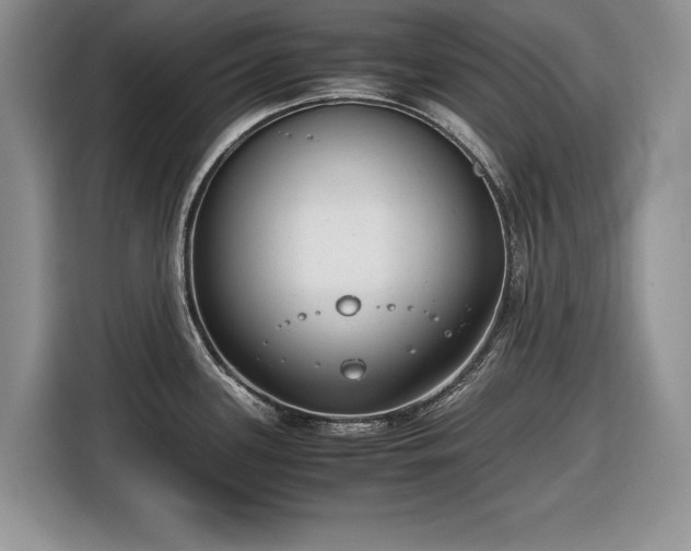 X0000116661339200912211500