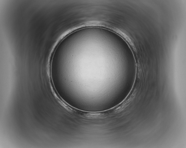 X0000116661342200912211500