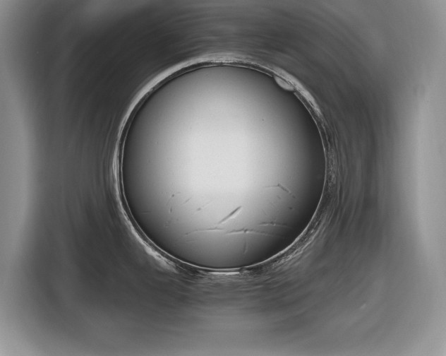 X0000116661343200912211500