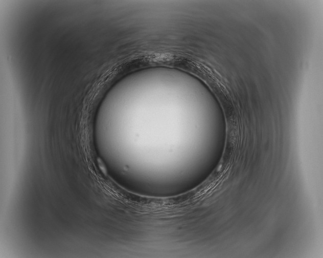 X0000116661345200912211459