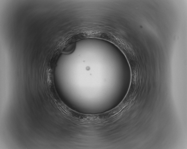 X0000116661346200912211459