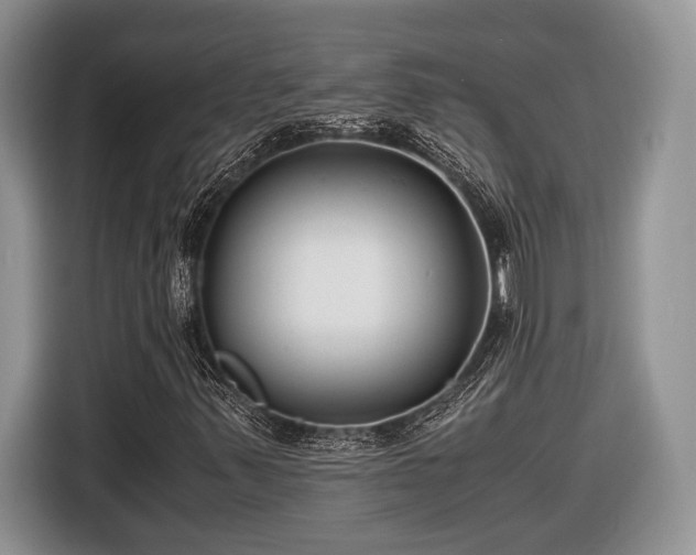 X0000116661347200912211459