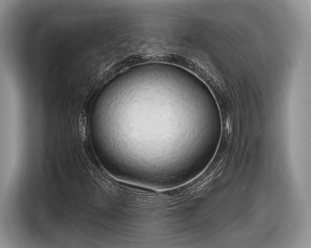 X0000116661348200912211459