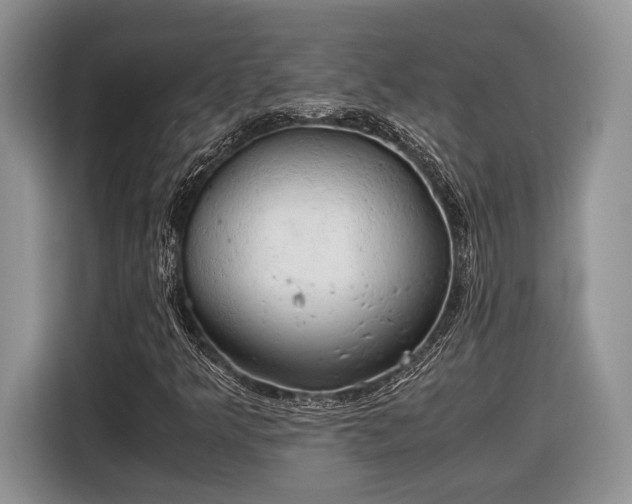 X0000116661349200912211459