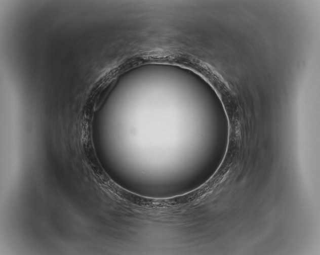 X0000116661350200912211459