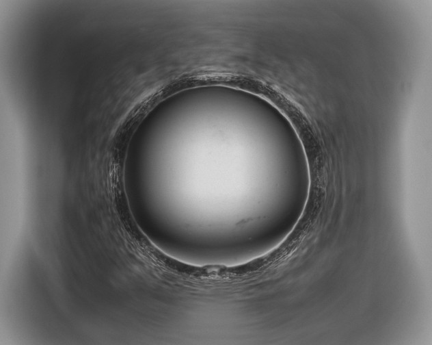 X0000116661351200912211459