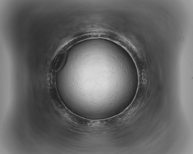 X0000116661352200912211459