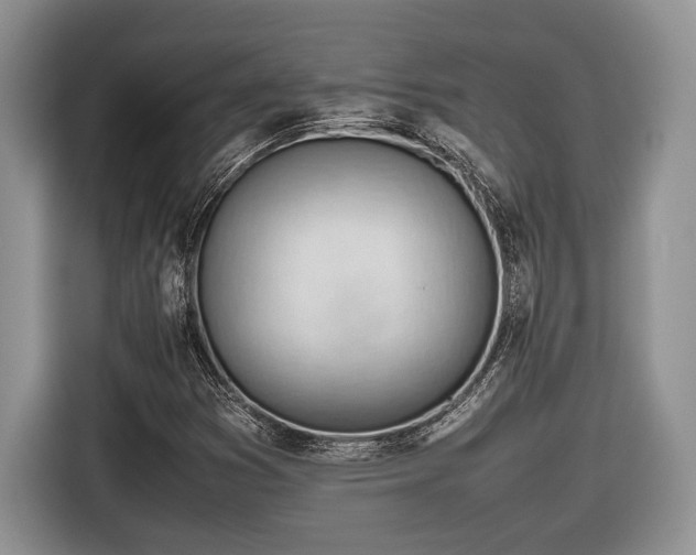 X0000116661353200912211459