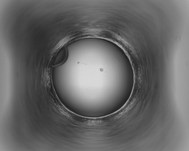 X0000116661354200912211459