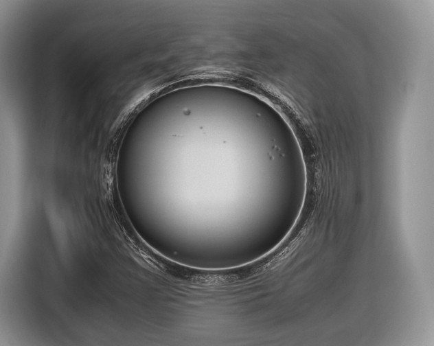 X0000116661355200912211459