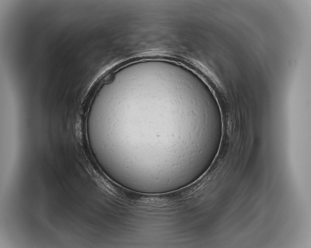 X0000116661356200912211459