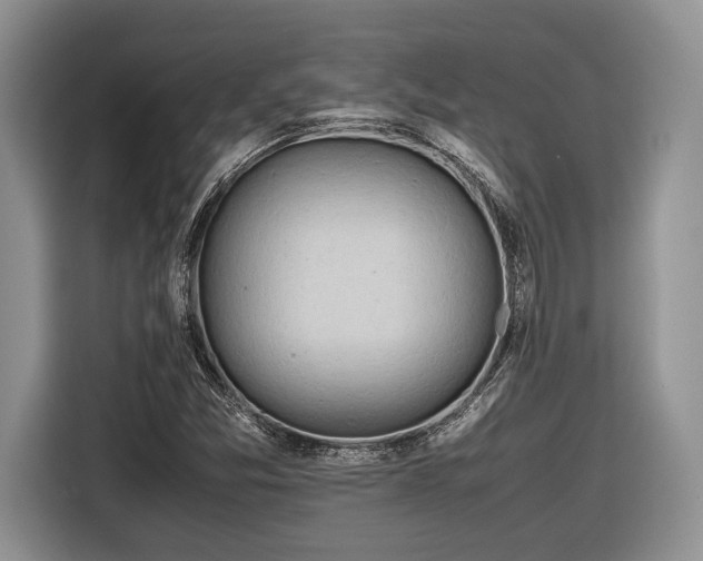 X0000116661357200912211459