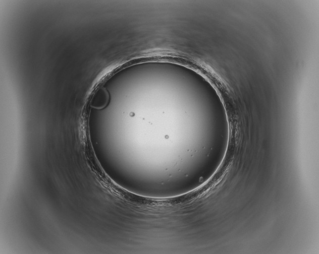 X0000116661358200912211459