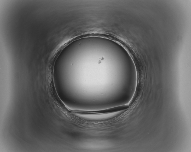 X0000116661359200912211459