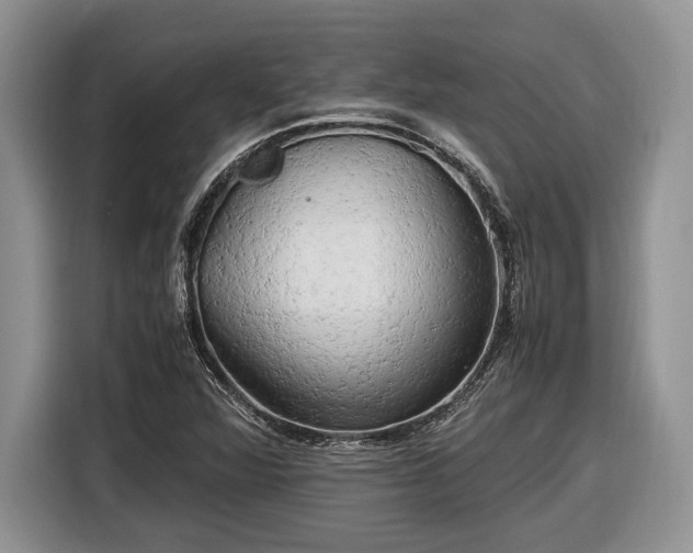 X0000116661360200912211459