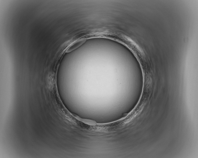 X0000116661361200912211459