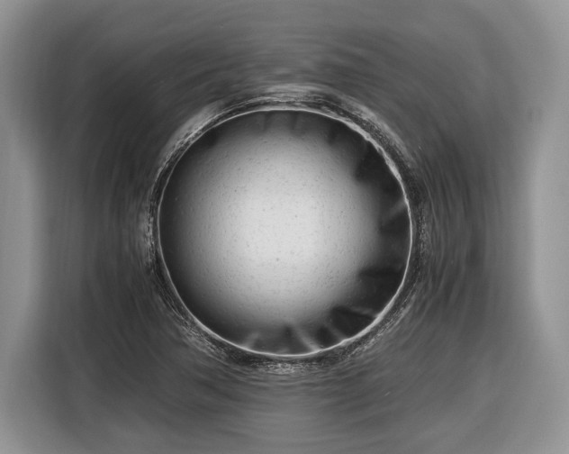 X0000116661362200912211459