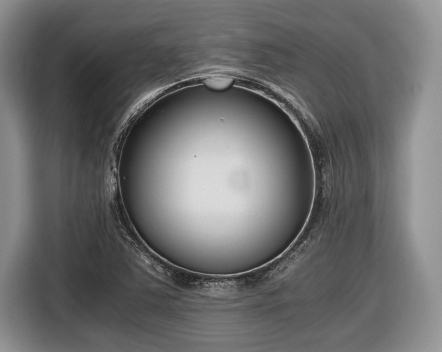 X0000116661363200912211459