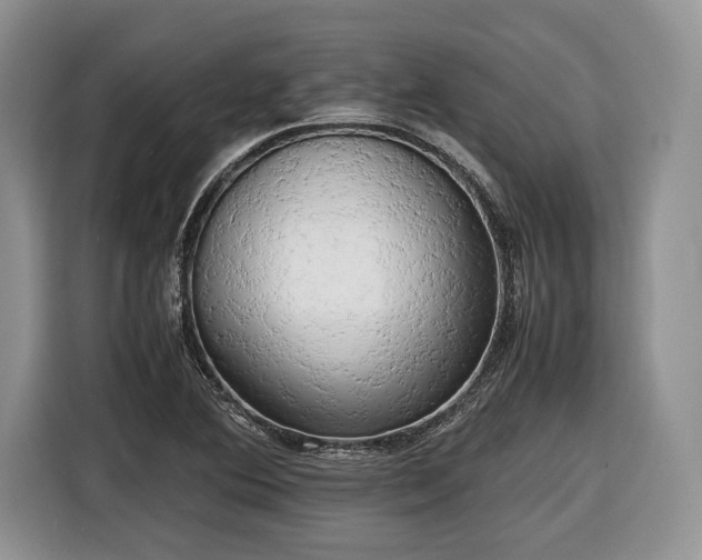 X0000116661364200912211459