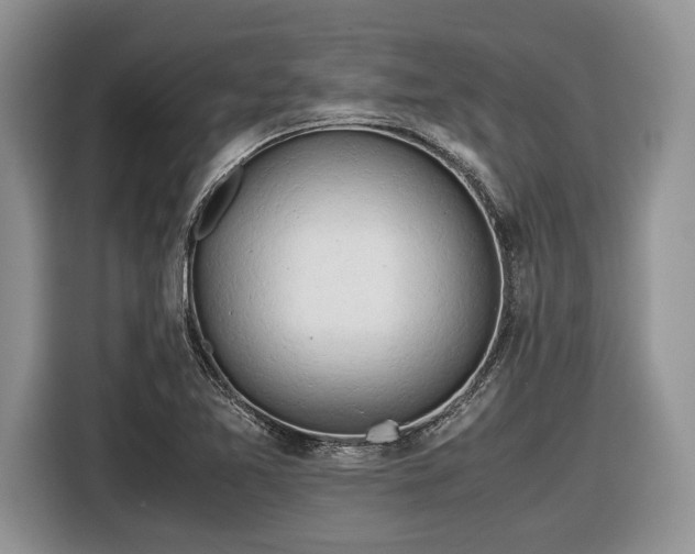 X0000116661365200912211459