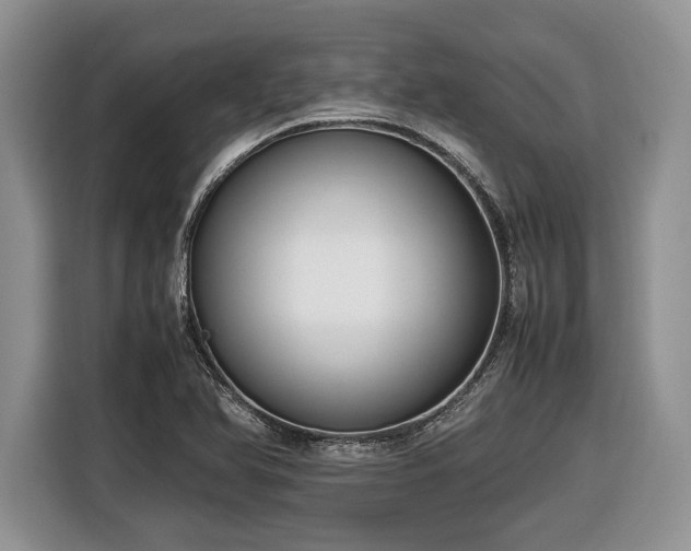 X0000116661366200912211459