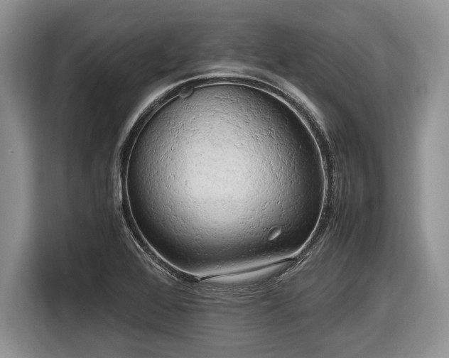 X0000116661368200912211459