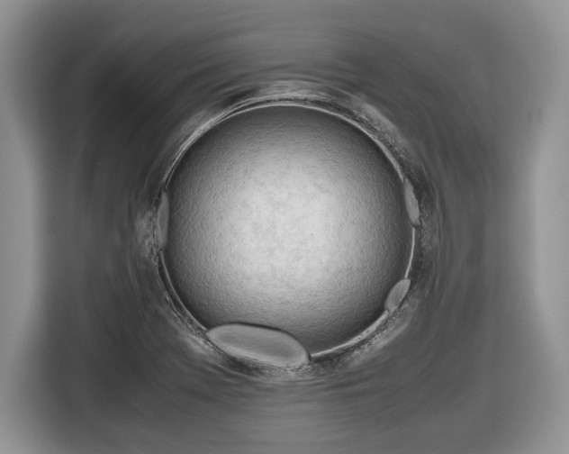 X0000116661369200912211459