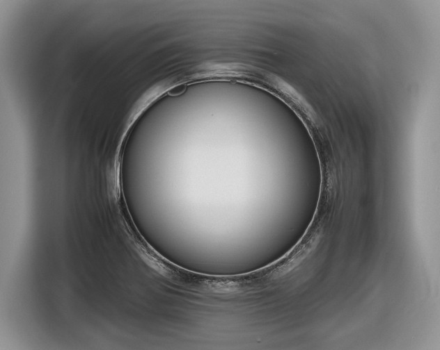 X0000116661370200912211459